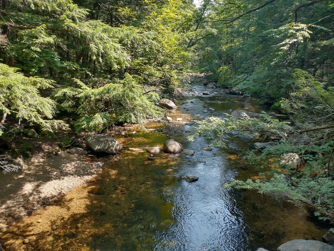 Default image for Great Hill Hike, a 2.4-mile trail in Tamworth, NH (US)