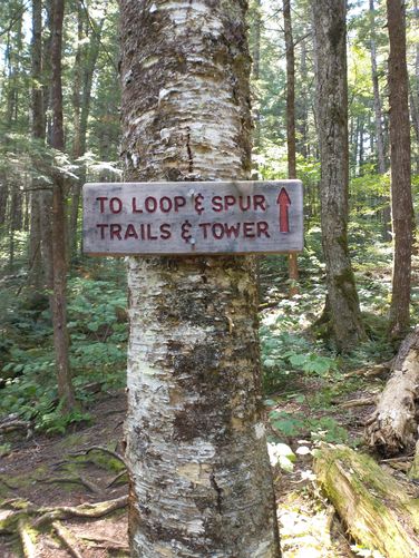 Signage at junctions