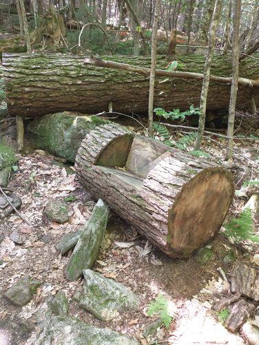 A Bench for Fred Flintstone?