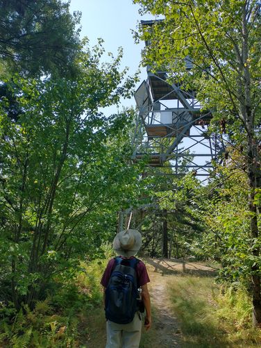 Our first look at the Great Hill Fire Tower