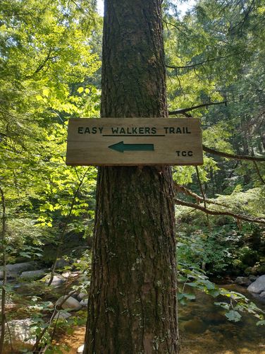 Easy Walkers Trail is a short tail leading back to the Trailhead 