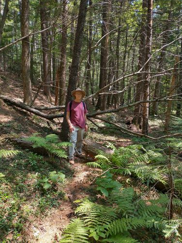 Easy Walkers Trail has need of maintenance 