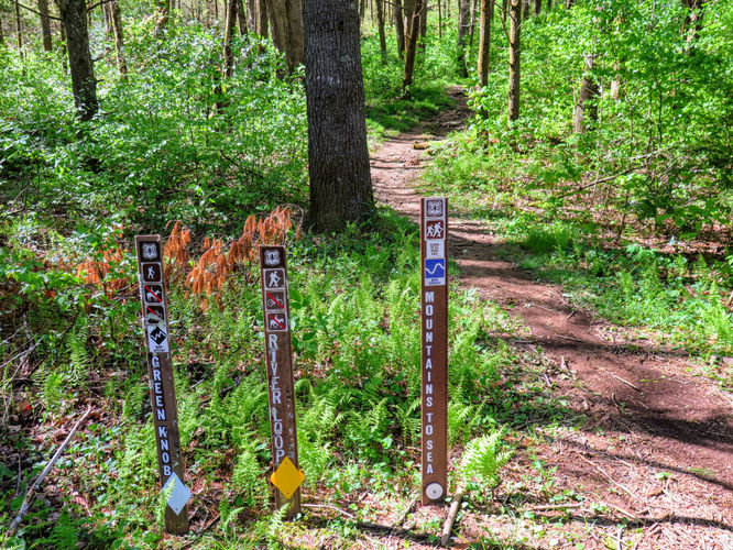 Picture 4 of Green Knob Lookout Tower Hike 050717