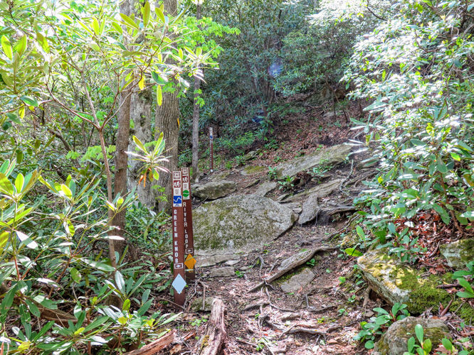 Picture 6 of Green Knob Lookout Tower Hike 050717