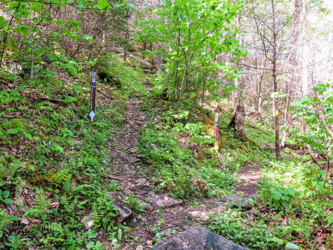 Picture 7 of Green Knob Lookout Tower Hike 050717