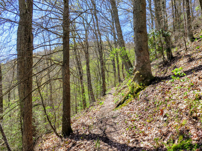 Picture 10 of Green Knob Lookout Tower Hike 050717
