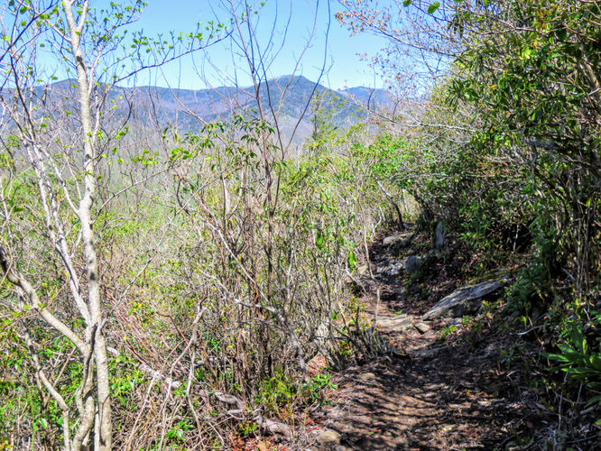 Picture 11 of Green Knob Lookout Tower Hike 050717
