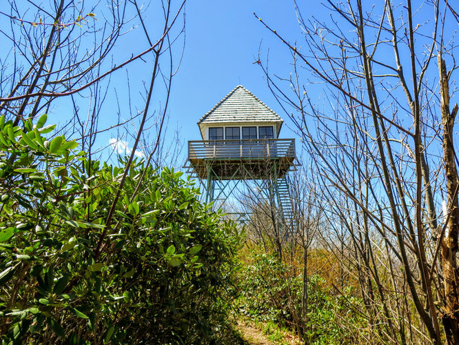 Picture 14 of Green Knob Lookout Tower Hike 050717
