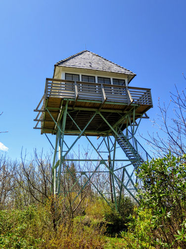 Picture 15 of Green Knob Lookout Tower Hike 050717