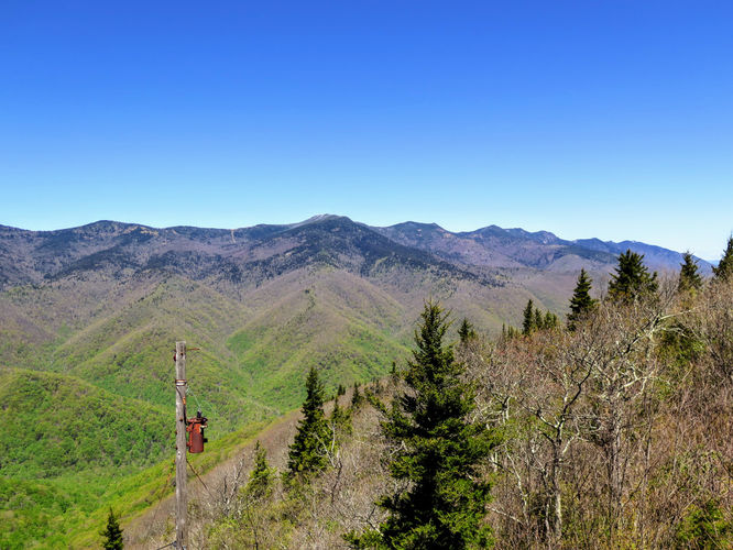 Picture 20 of Green Knob Lookout Tower Hike 050717