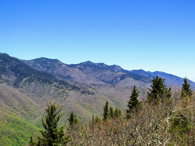 Picture 22 of Green Knob Lookout Tower Hike 050717