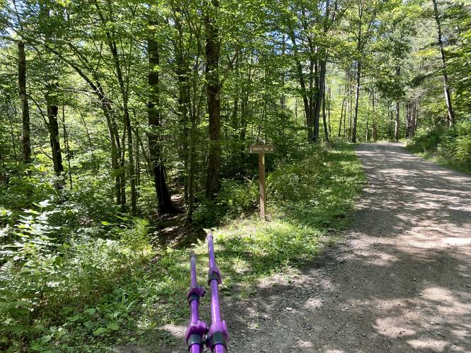 Birch Still Trail