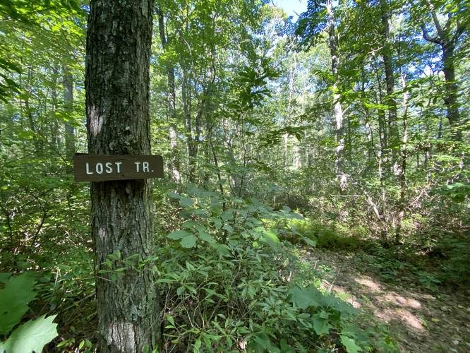 Turn to Lost Trail
