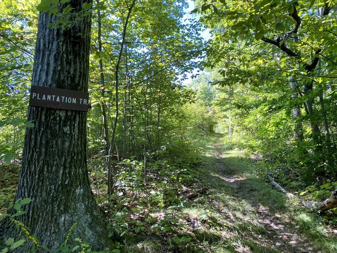 Plantation Trail