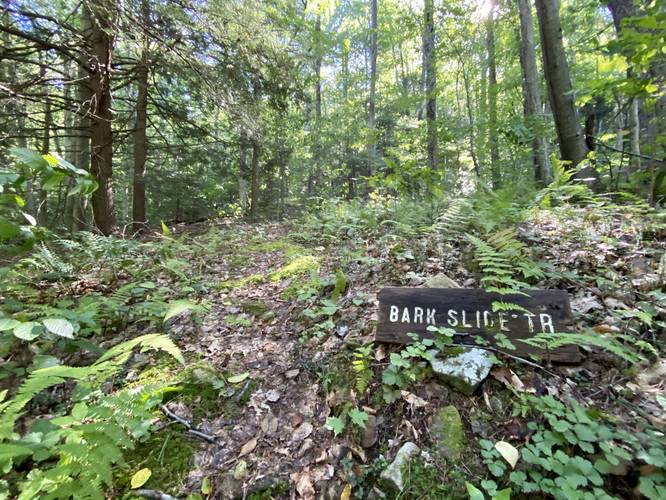 Bark Slide Trail to ascend Oak Point Mountain