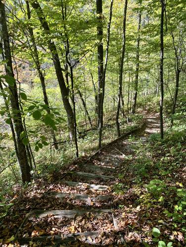 Steep trail leads down to the Greenbush Kettle Pond