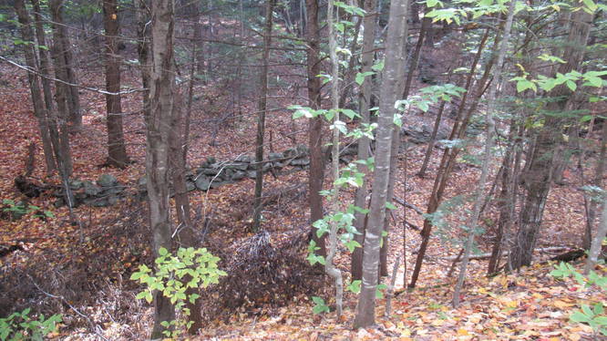 View of old stone wall from atop the Rail Trail