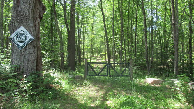 Trail start beyond the gate