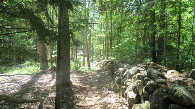 Trail continues along an old stone wall