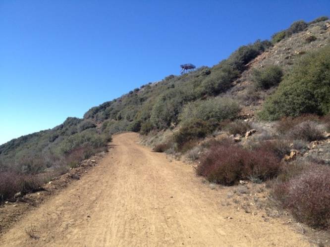 Picture 3 of Gridley Trail