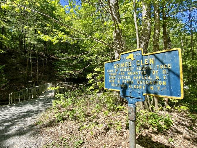 Grimes Glen historical sign (fossil tree)