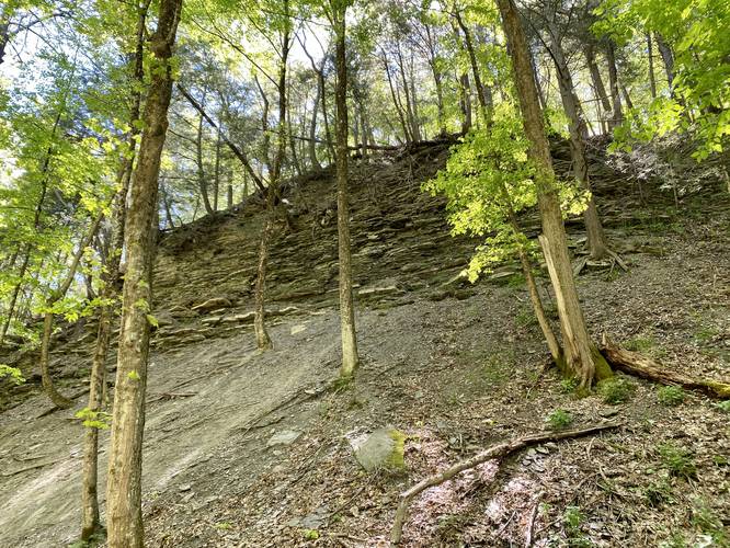 Gorge rock ledge above Grimes Glen