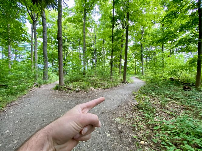 Right-hand turn to viewing platform
