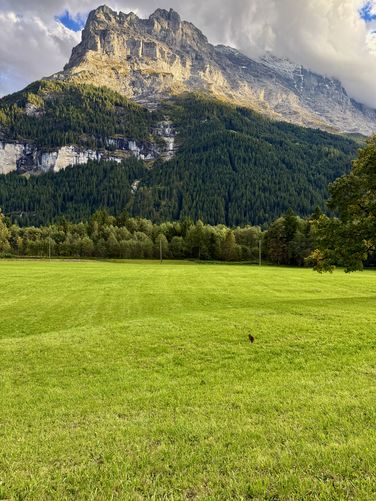 Picture 19 of Grindelwald Loop Walk
