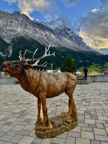 Picture 26 of Grindelwald Loop Walk