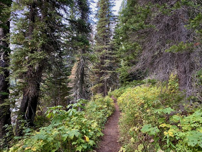 Hiking the North Shore Lake Josephine Trail