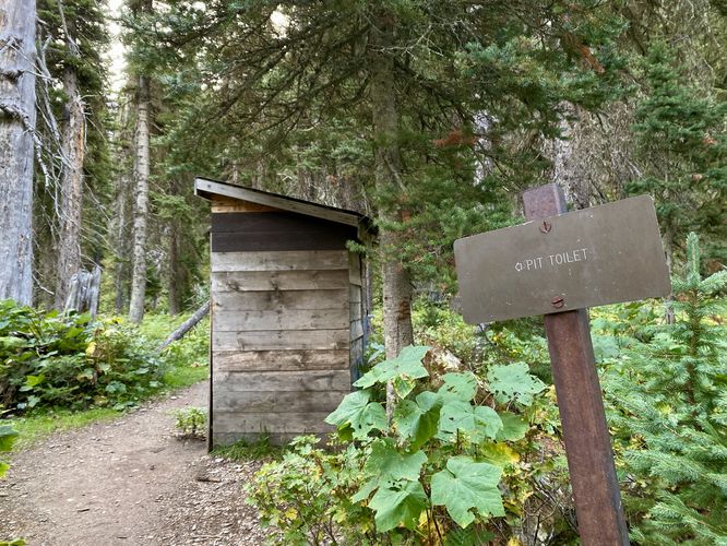 Privy (toilets)