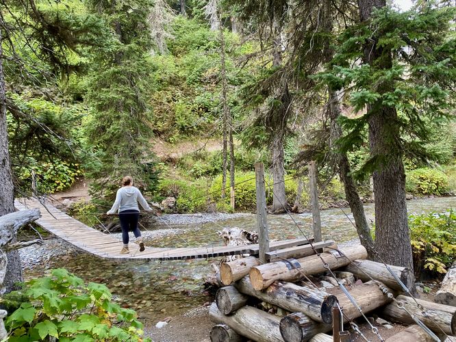 Hiking the Cataract Creek suspension bridge