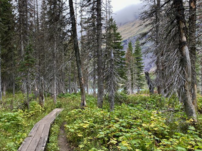 Raised boarwalk leads to Grinnell Lake