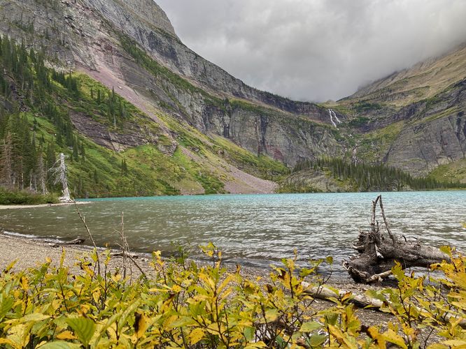 Yellow foliage at Grinnell Lake