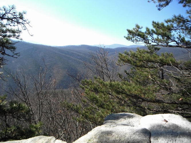 Default image for Grooms Ridge and Chestnut Ridge Hike, a 9.0-mile trail in Mount Solon, VA (US)