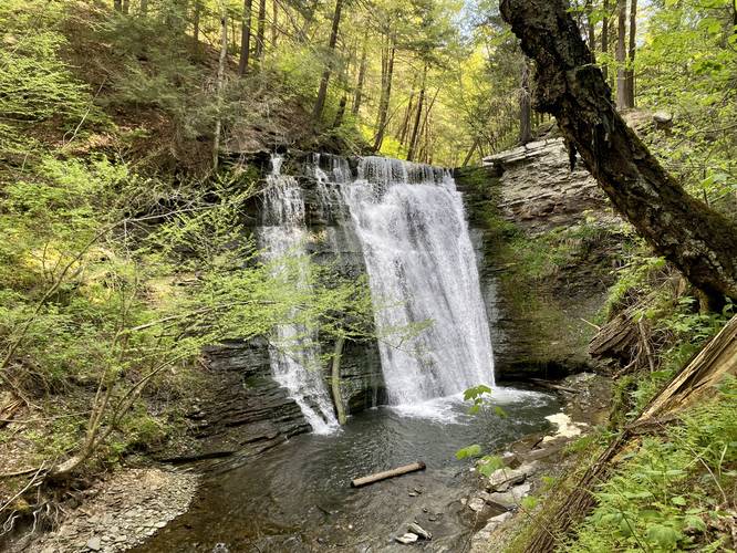 View of Gully Falls (approx. 45-feet tall)