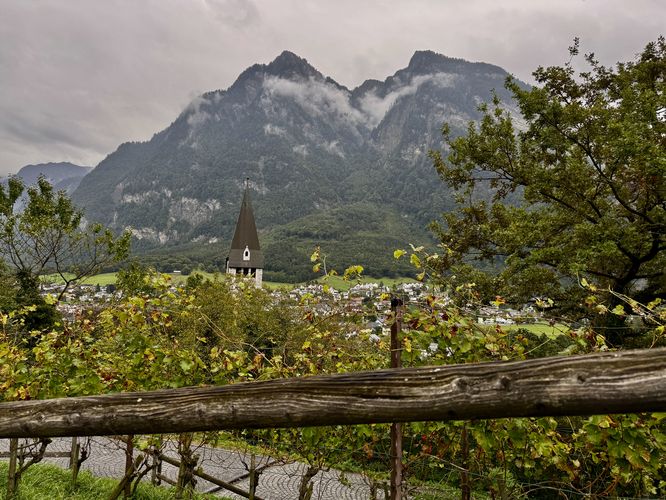 A view of Alps and Pfarrkirche St. Nikolaus from the castle vineyard