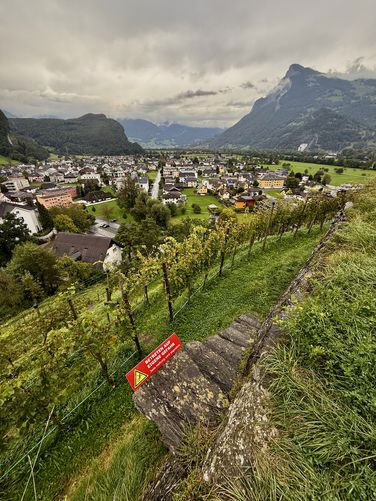 Narrow, stone staircase leads down to the castle vineyards