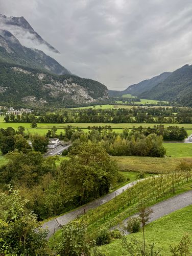 View of vineyards and Alps from Burg Gutenberg