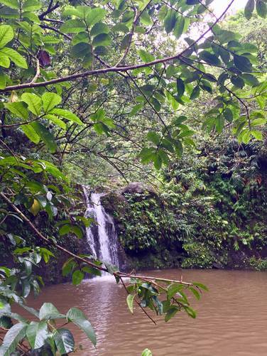 Picture 7 of Haipua'ena Falls