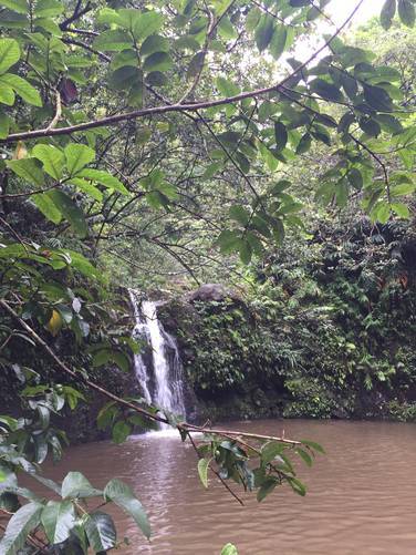 Picture 6 of Haipua'ena Falls
