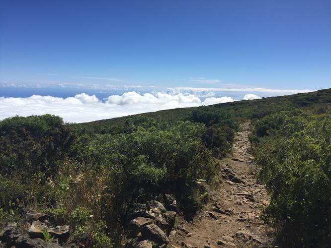 Picture 7 of Halemauu Trail to Haleakala Crater Lookout