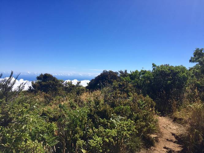 Picture 5 of Halemauu Trail to Haleakala Crater Lookout