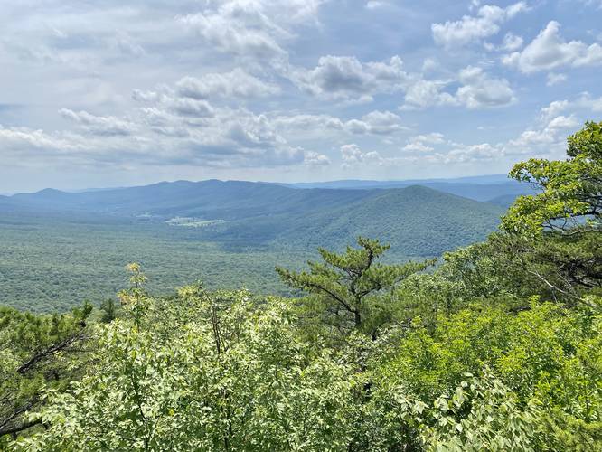 Halfmoon Mountain Lookout / Vista with a view of the Trout Run Valley