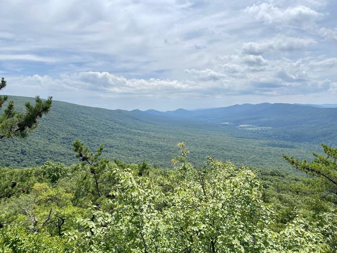 Halfmoon Mountain Lookout / Vista with a view of the Trout Run Valley