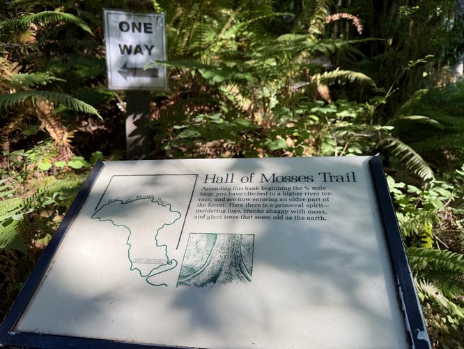 Info sign for the Hall of Mosses Trail