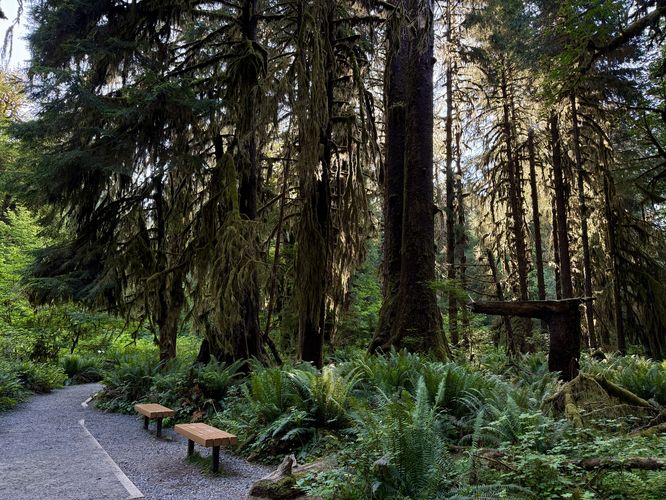 Benches along the trail provide a place to rest and contemplate