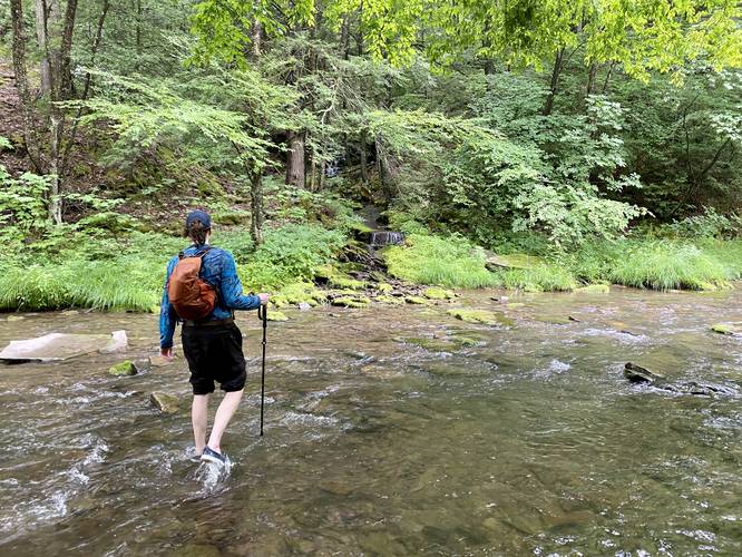 Crossing Cedar Run to reach Hamilton Hollow Falls