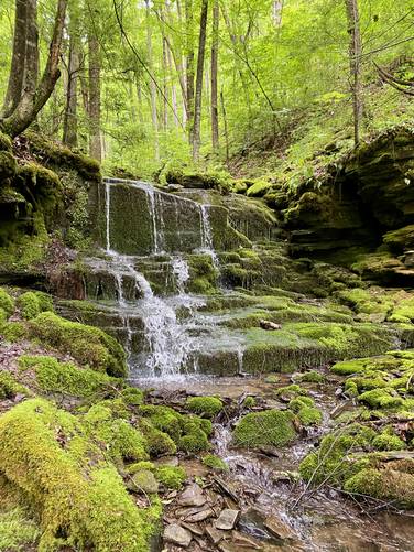 Hamilton Hollow Falls (approx. 8-feet tall)