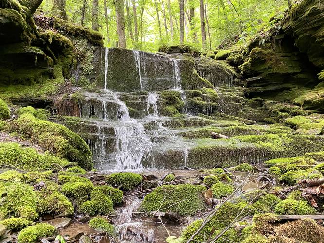 Hamilton Hollow Falls (approx. 8-feet tall)
